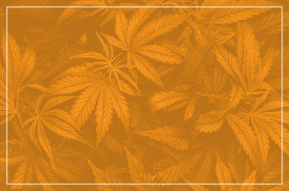Endocannabinoids ECS