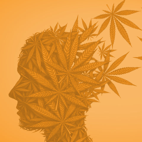 A Match Made in Heaven: Cannabinoids and Neurogenesis