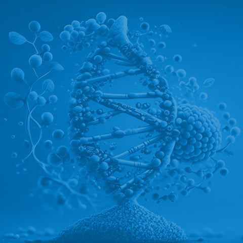 Epigenetic Modifications and the Cell's Fate