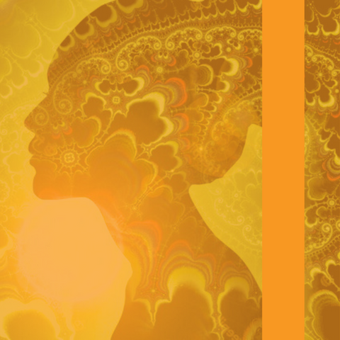 Beyond the Trip: Psychedelic Therapy