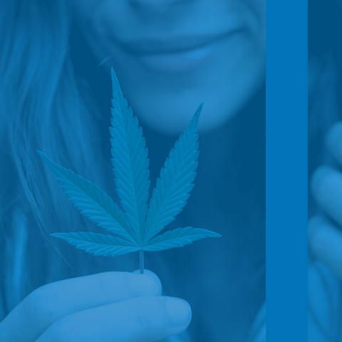 Connecting Your Endocannabinoid System and Mental Health
