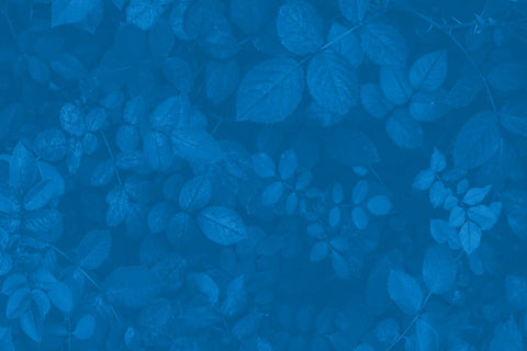 Nicotine: The Most Misunderstood Nootropic in the World