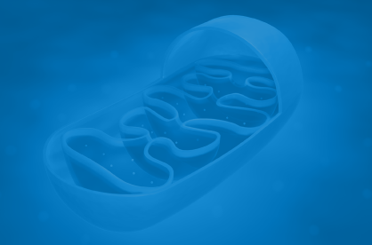 Eight Ways to Optimize Mitochondrial Function and Energy Production