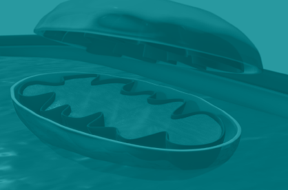 How to Destroy (or Enhance) Mitochondrial Function