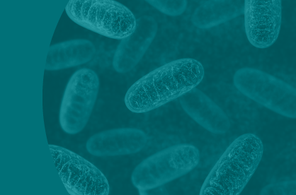 Mitochondria Biogenesis 