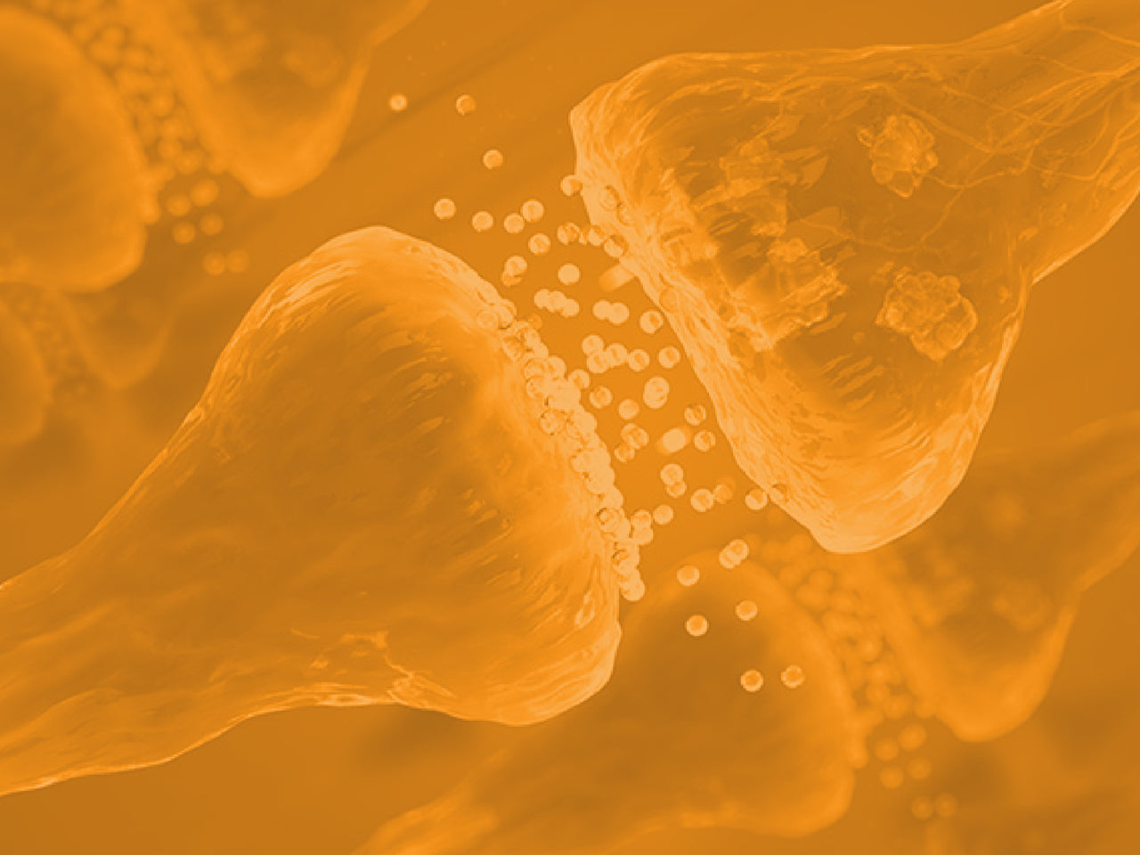 Synaptogenesis The What The Why And 5 Ways To Optimize Troscriptions synaptogenesis-the-what-the-why-and-5-ways-to-optimize-troscriptions