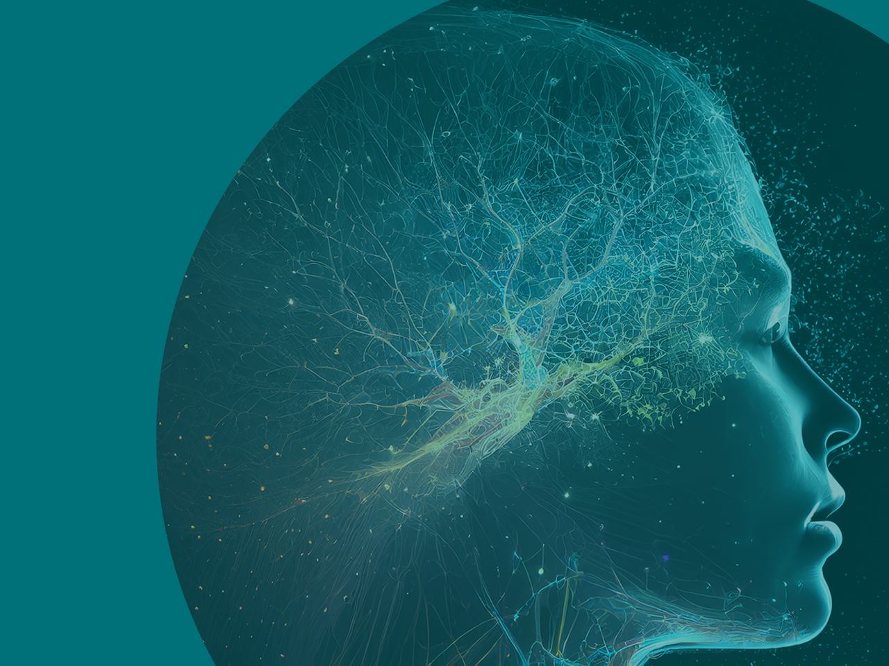 The Glymphatic System 