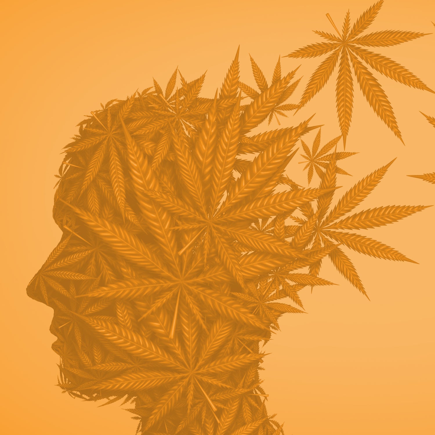 A Match Made in Heaven: Cannabinoids and Neurogenesis
