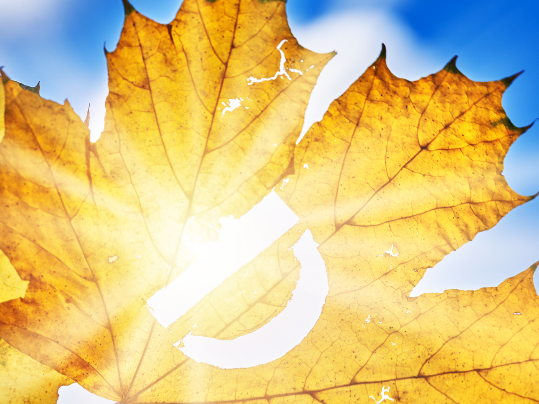 all-about-vitamin-d-troscriptions