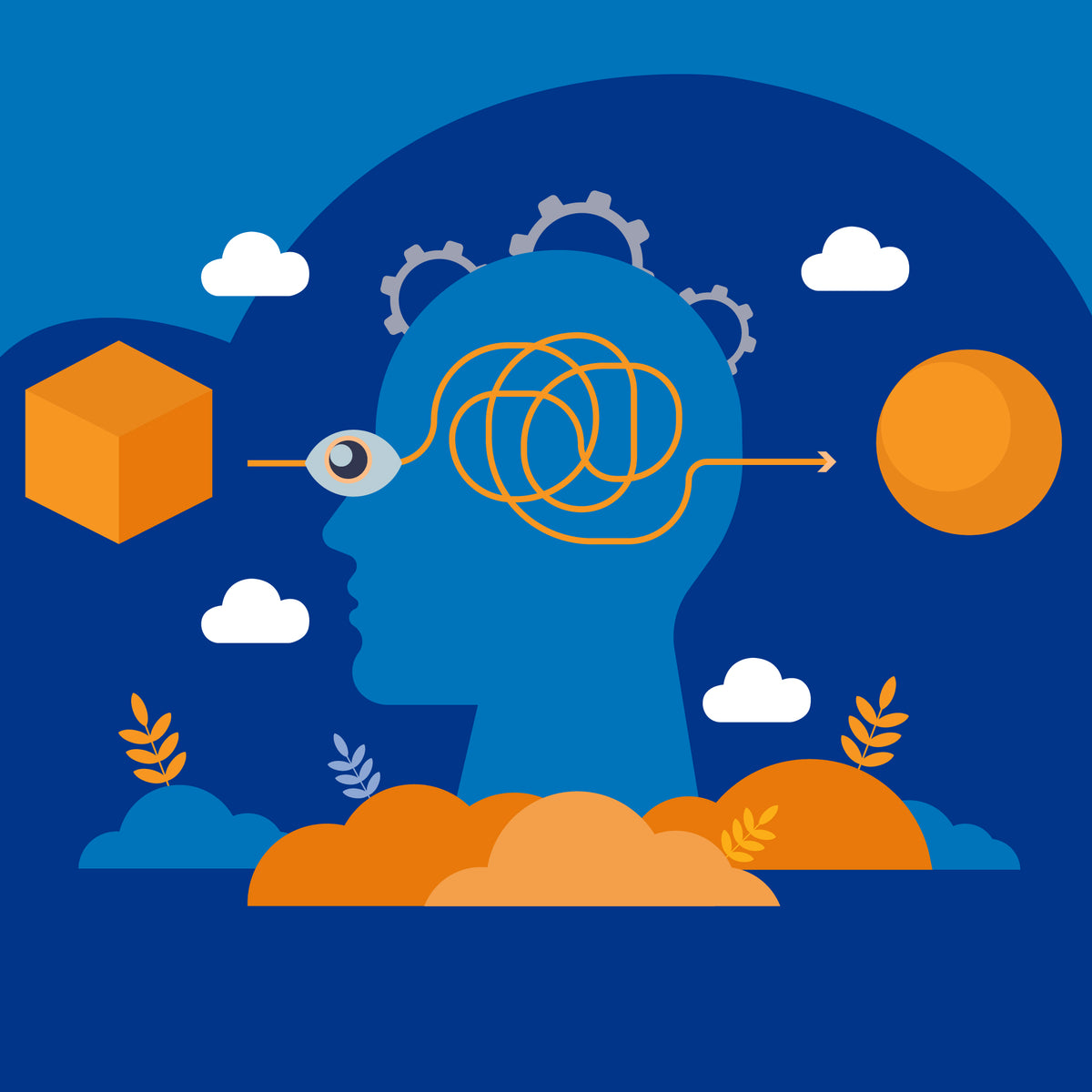 Top 7 Cognitive Biases (We Won't Get Fooled Again!) – Troscriptions®