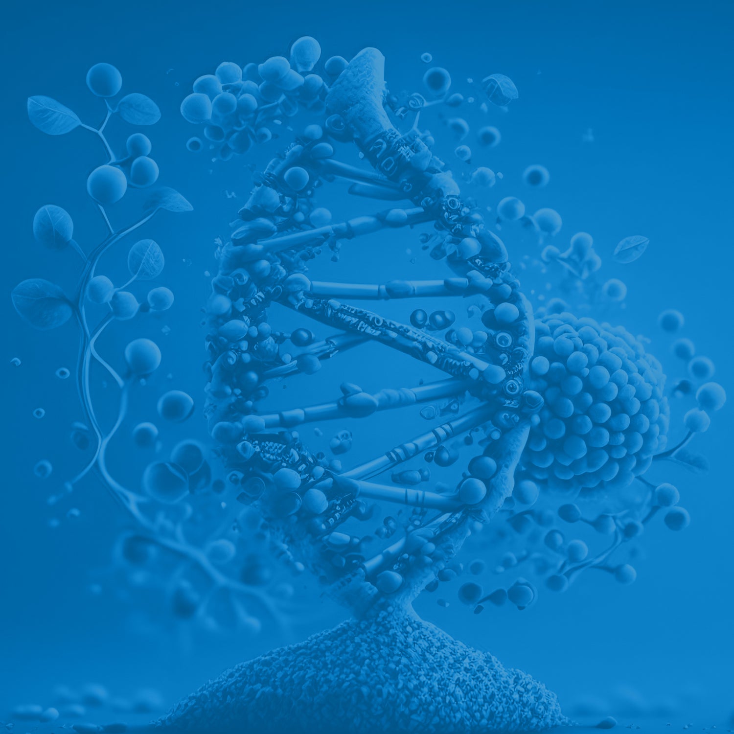 Epigenetic Modifications and the Cell's Fate