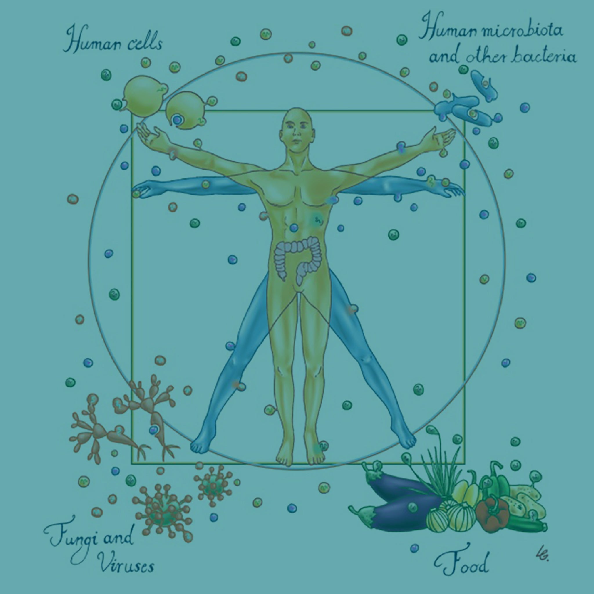 The Holobiont (The Meat and Potatoes)