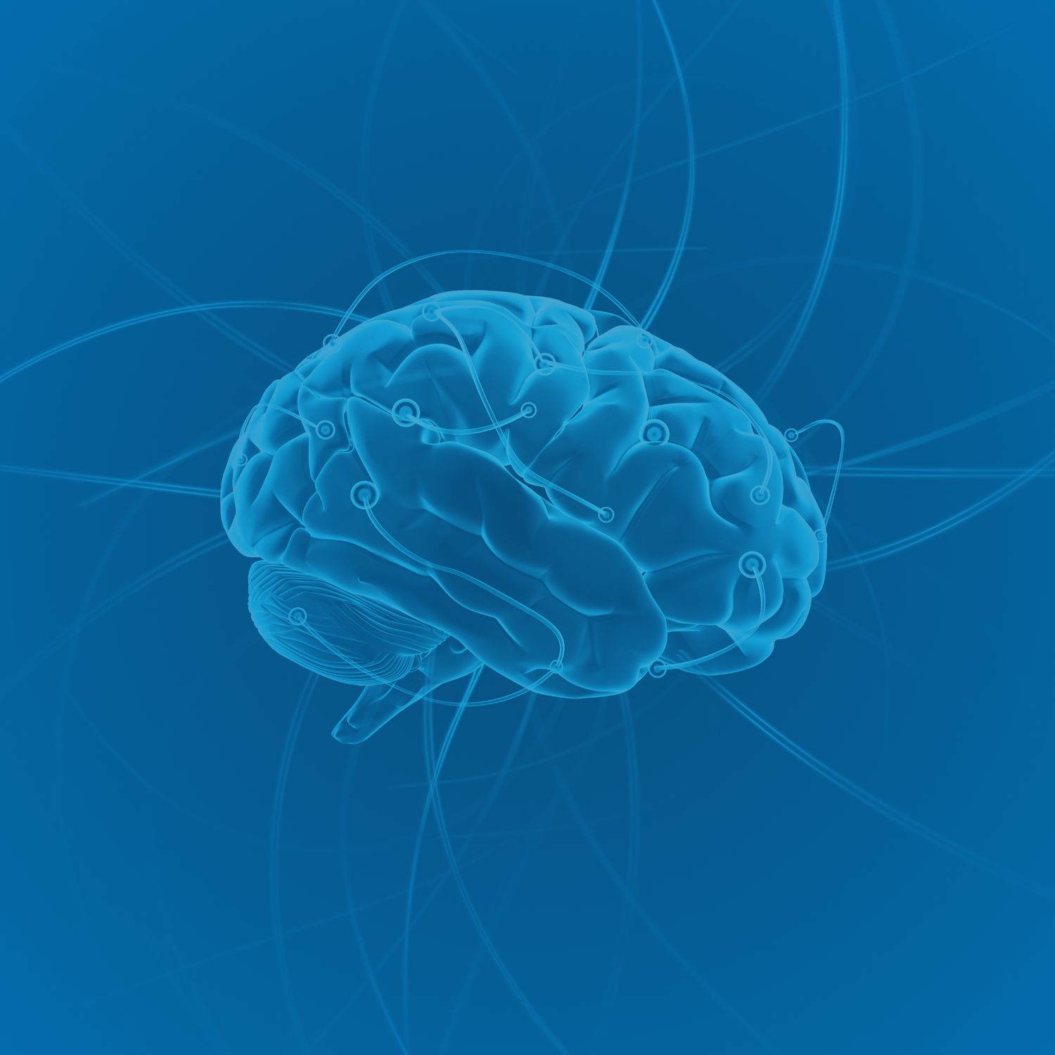 GABA and the blood-brain barrier