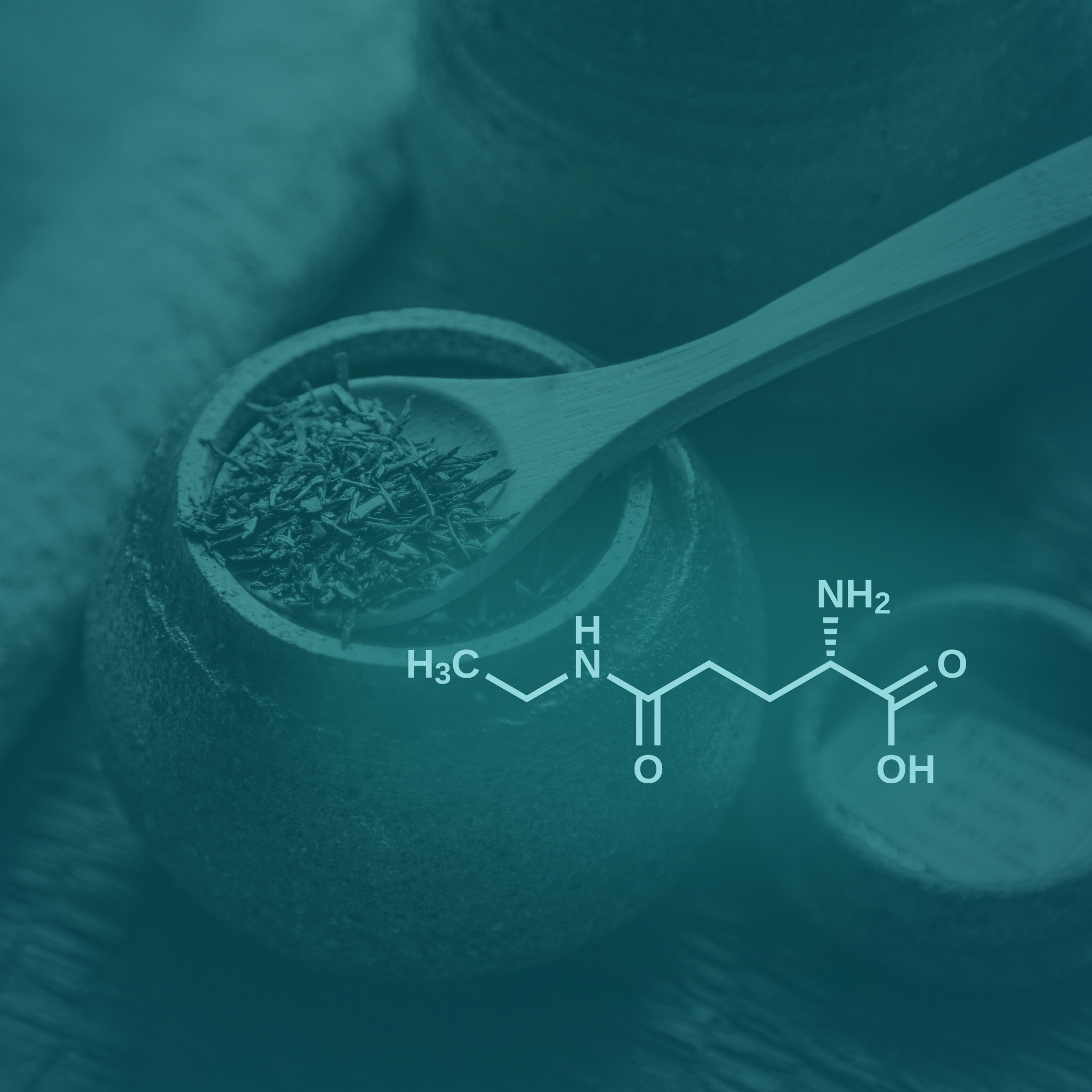 GABA and L-Theanine: Sleep, Relaxation, and More