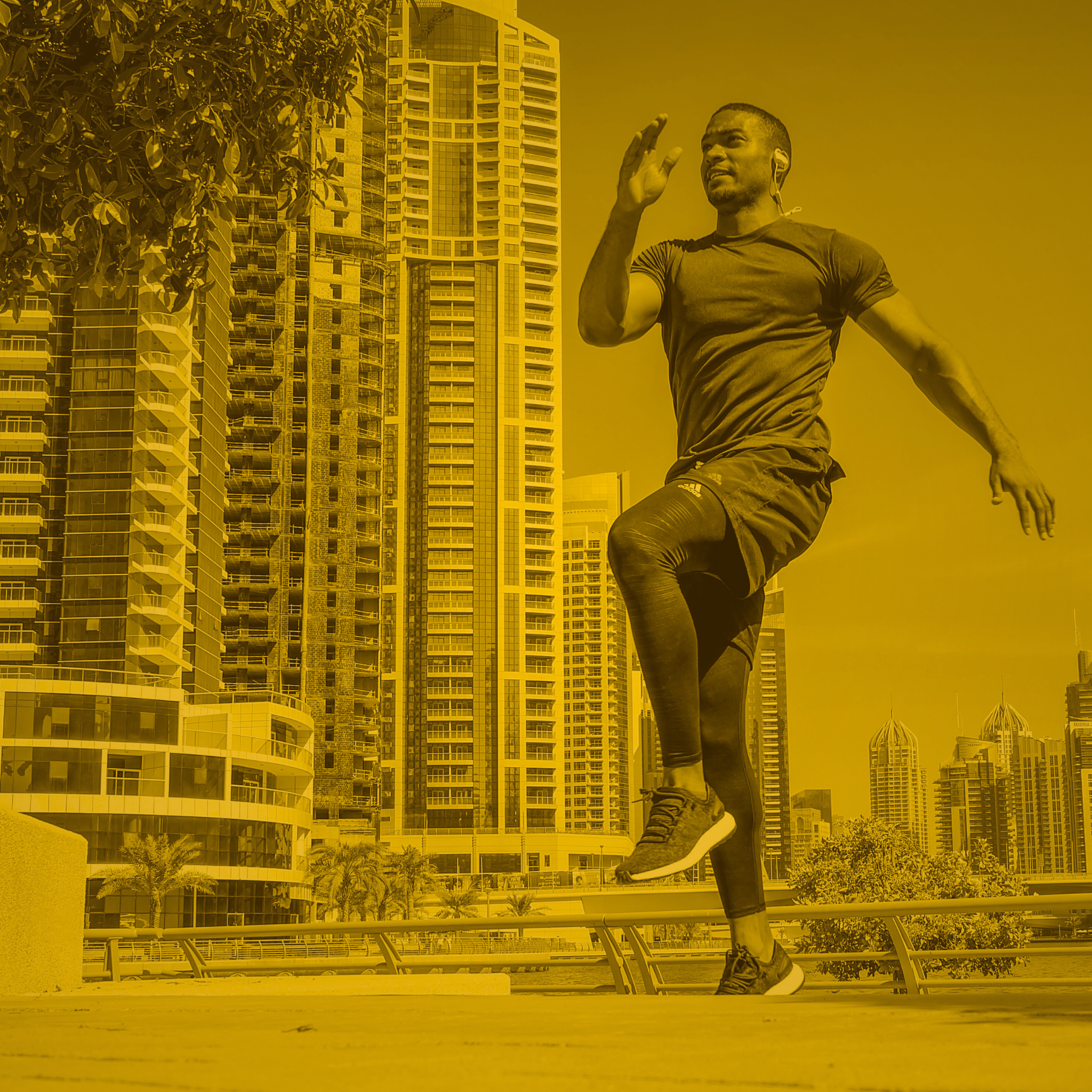 7  Plant-derived Nootropics for Energy