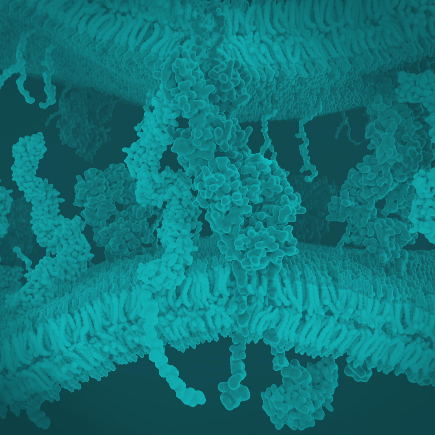 What is the blood-brain barrier?