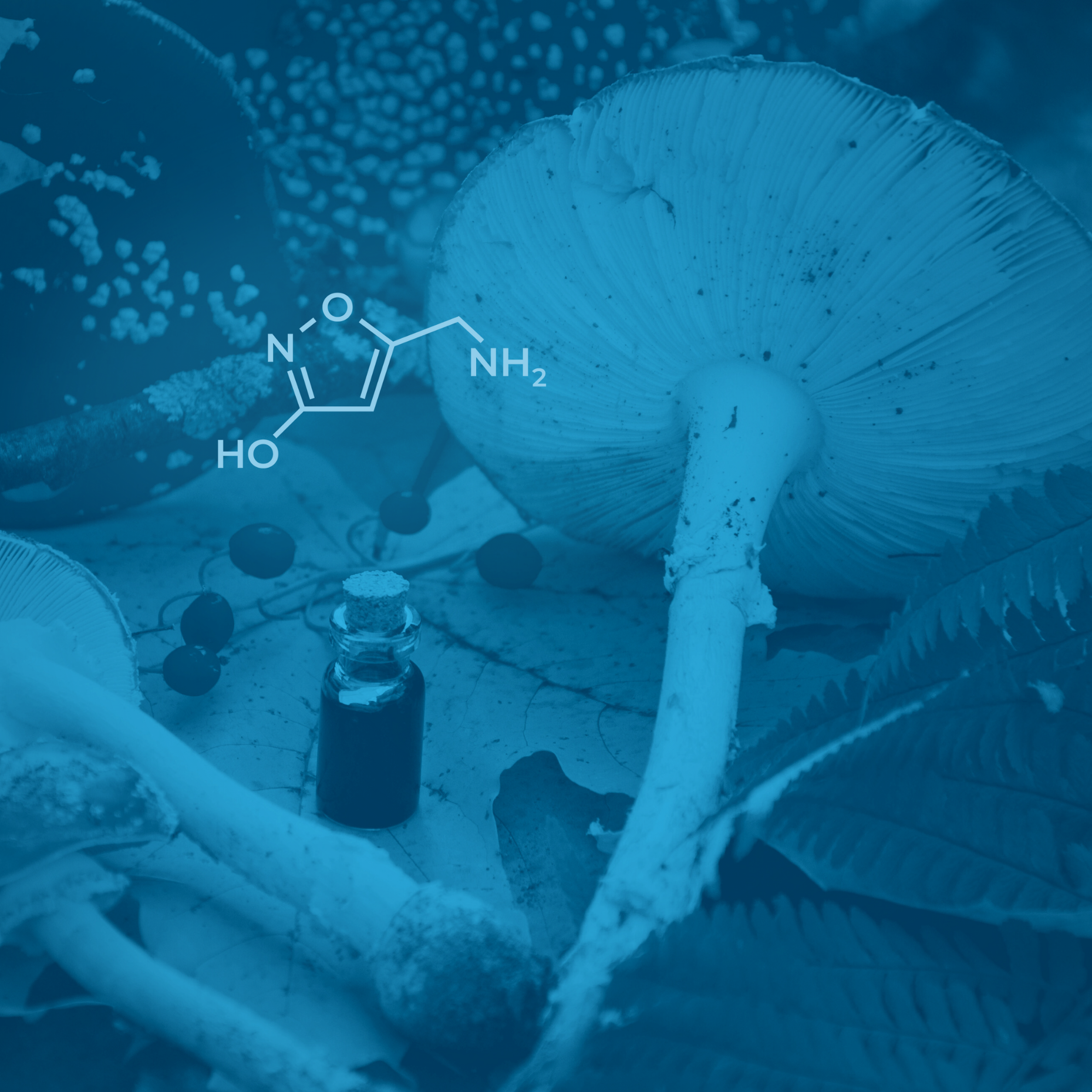 How does agarin interact with GABA? Troscriptions