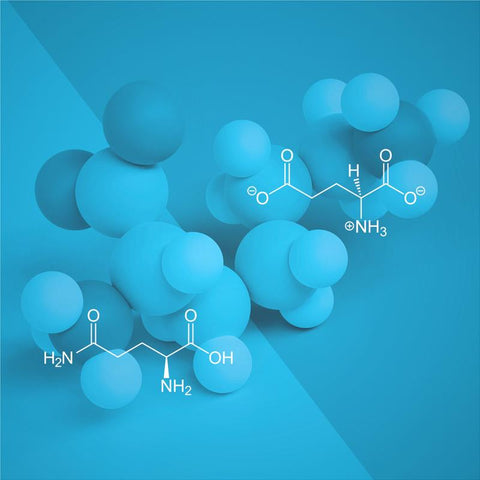 Glutamine vs. Glutamate: Differences, Similarities, and Metabolic Roles