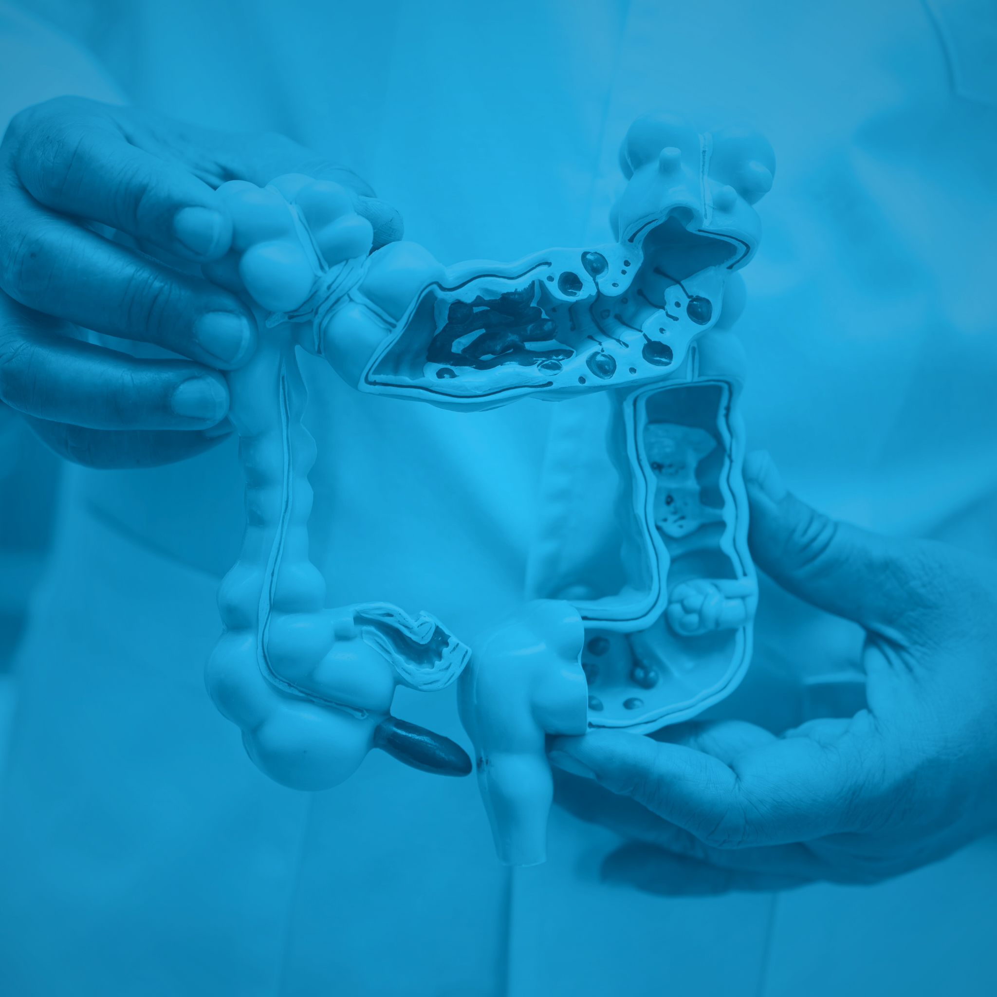 GABA's Role in Gut Health