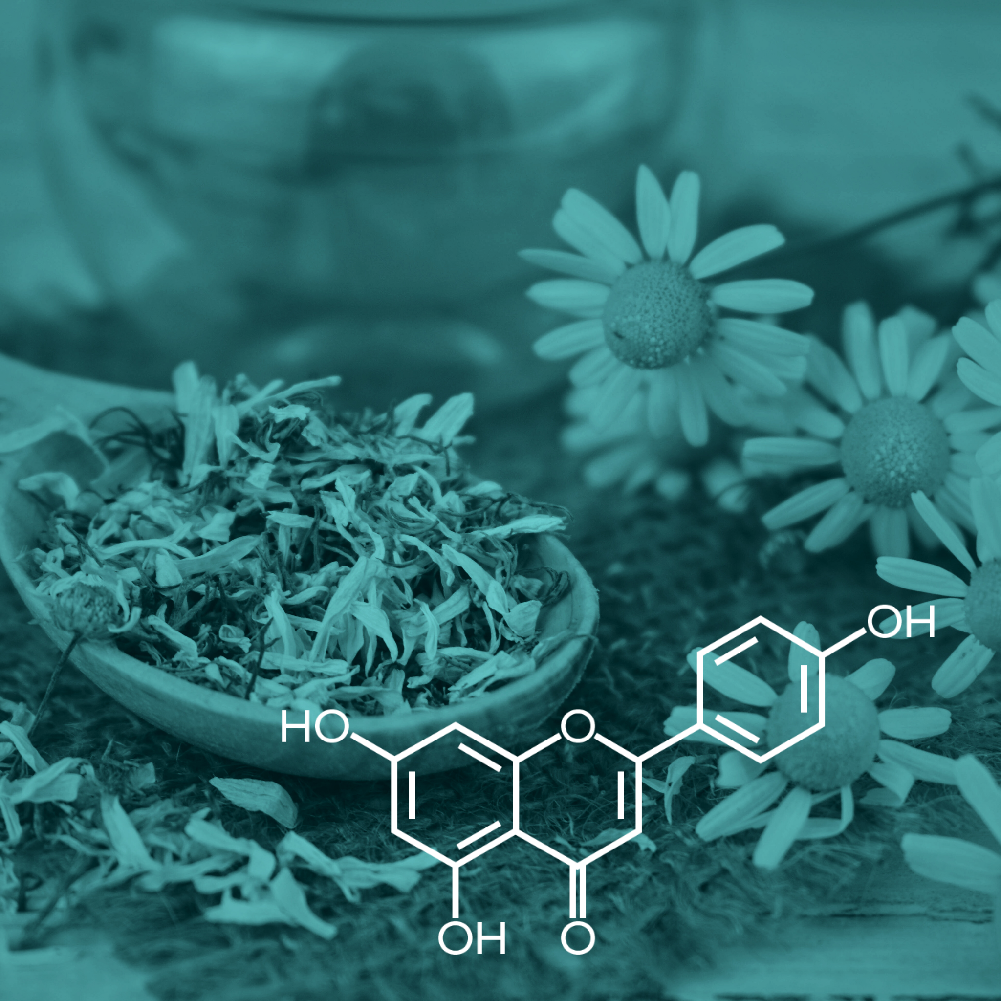 Exploring the Therapeutic Potential of Apigenin: A Promising Flavone