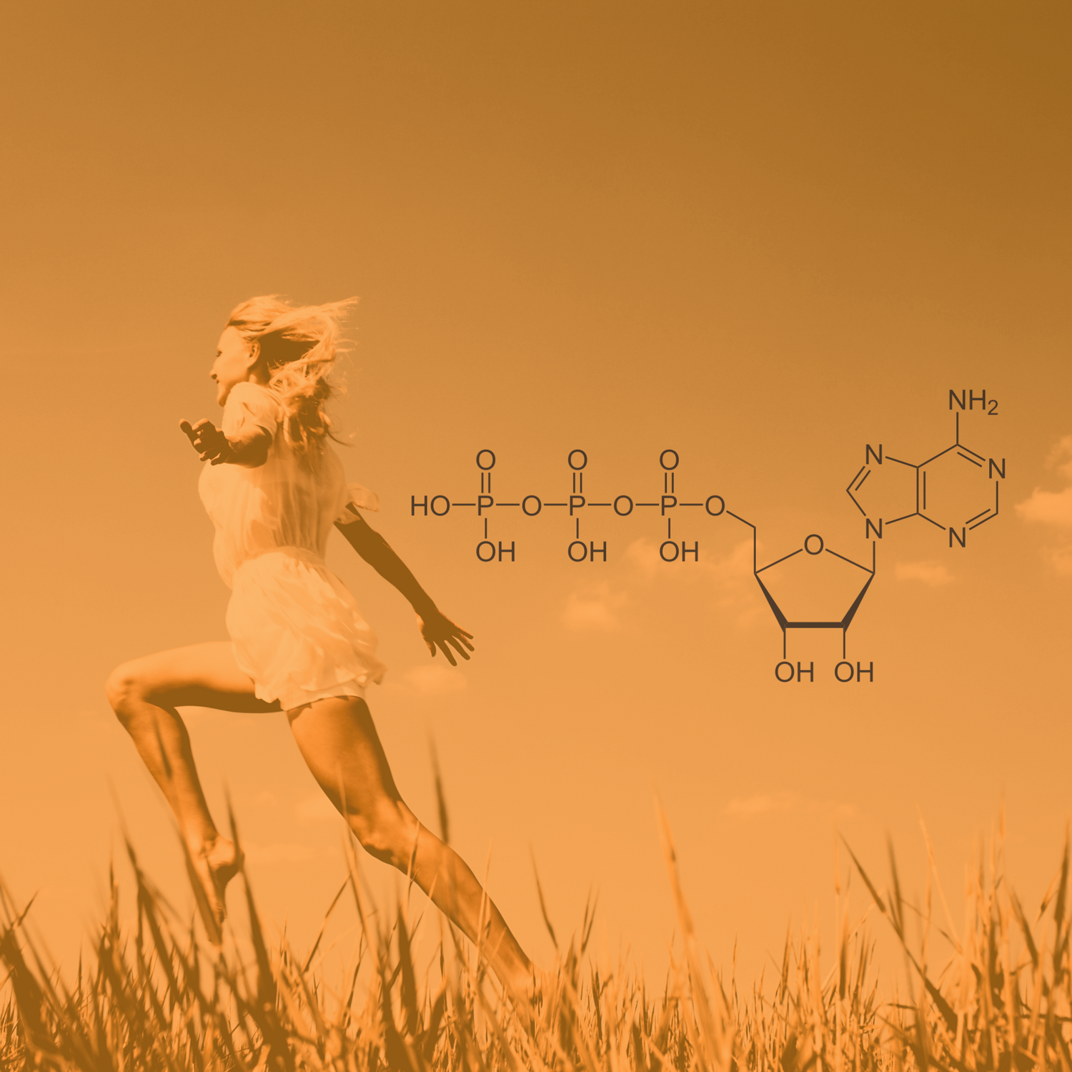 What is ATP synthase?