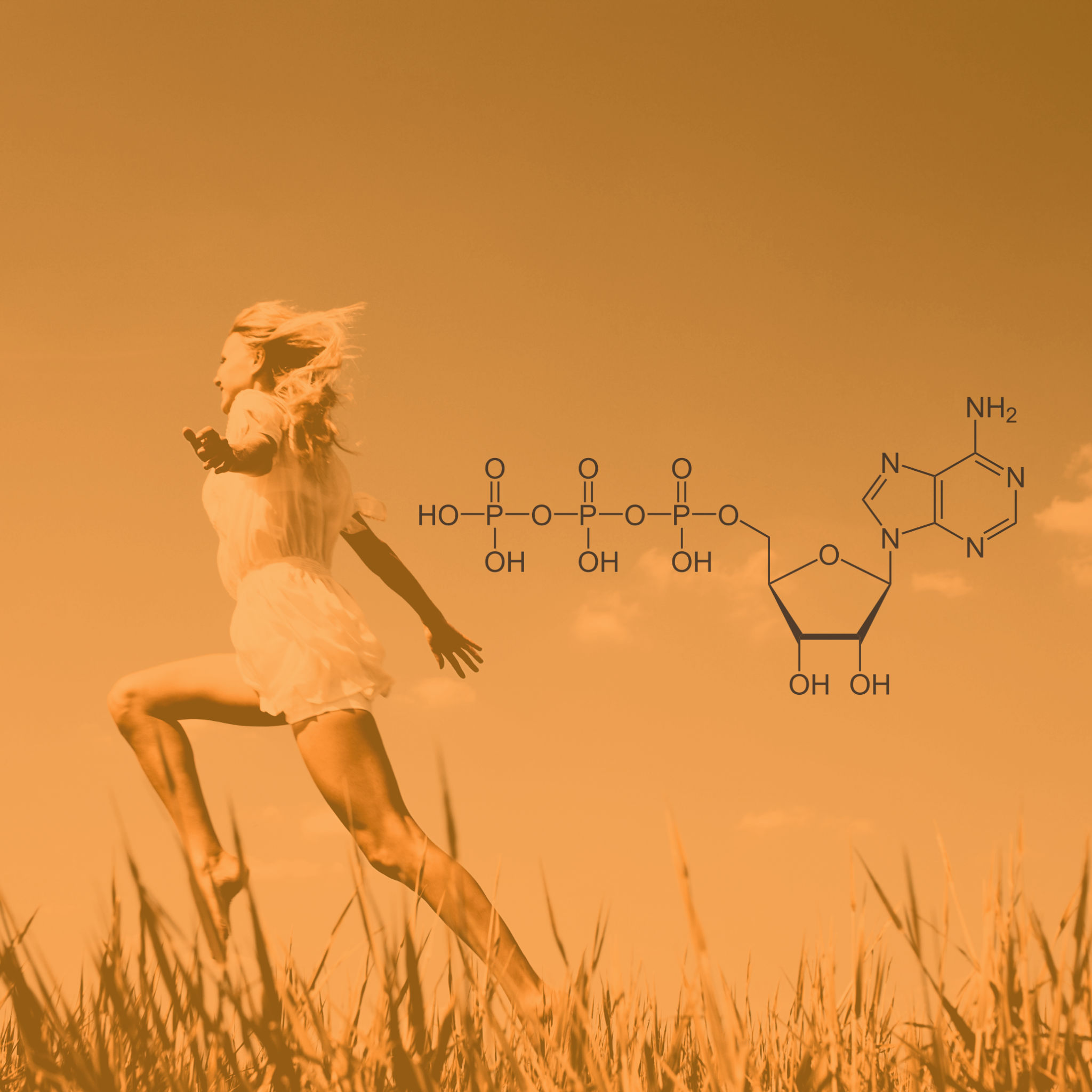 What is ATP synthase?