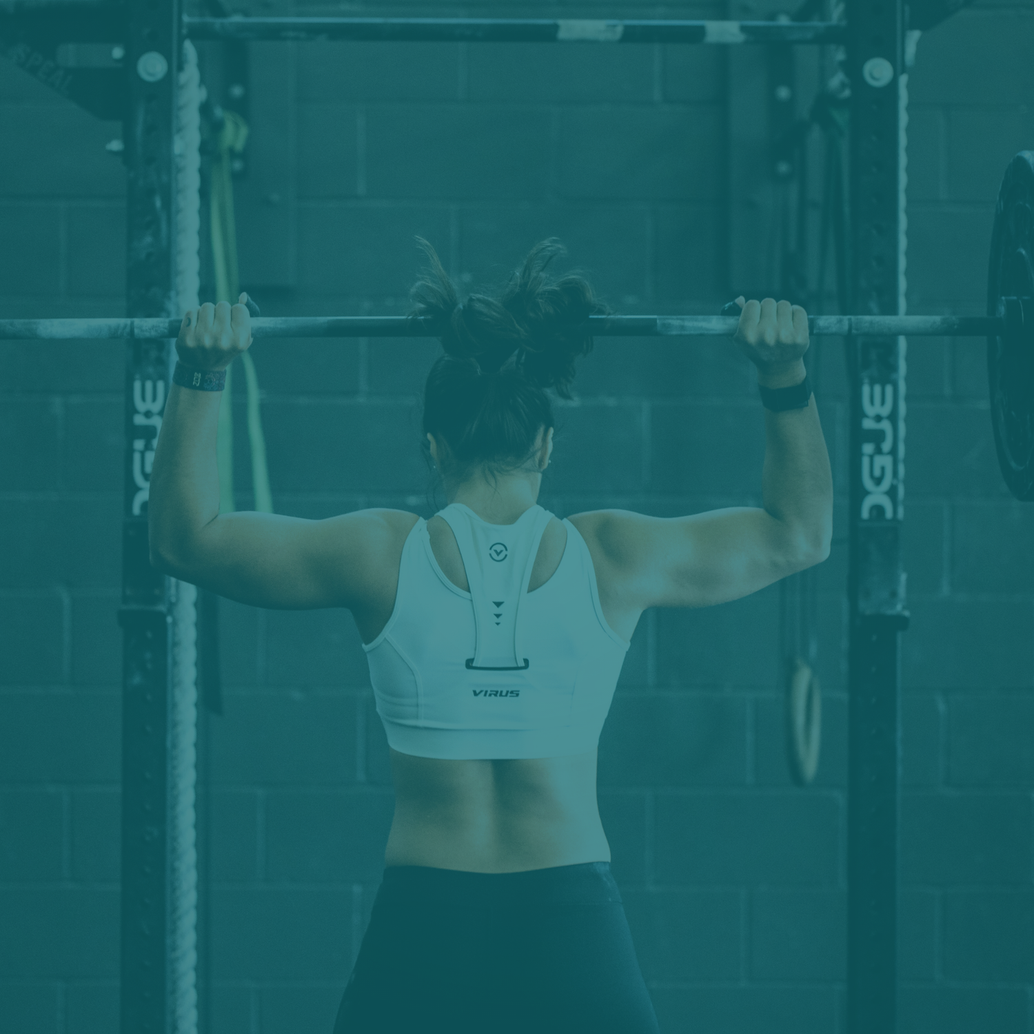 Agmatine Sulfate for Bodybuilding and Pre-Workout