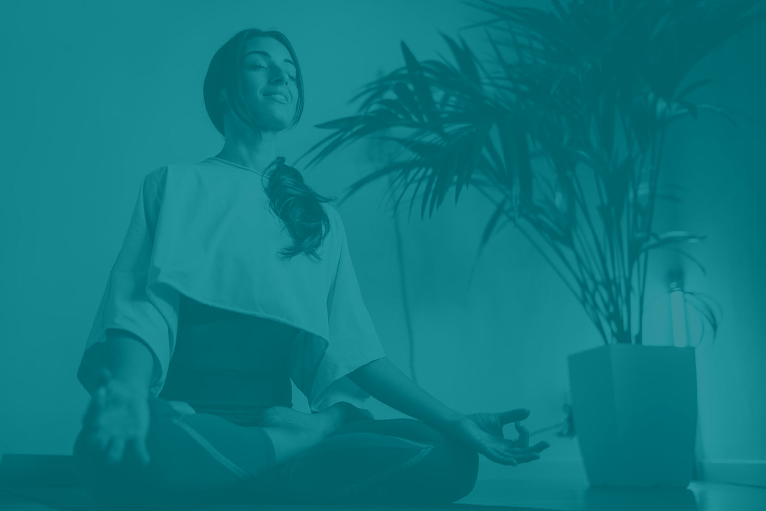 Health Optimization Nootropics (HONs)