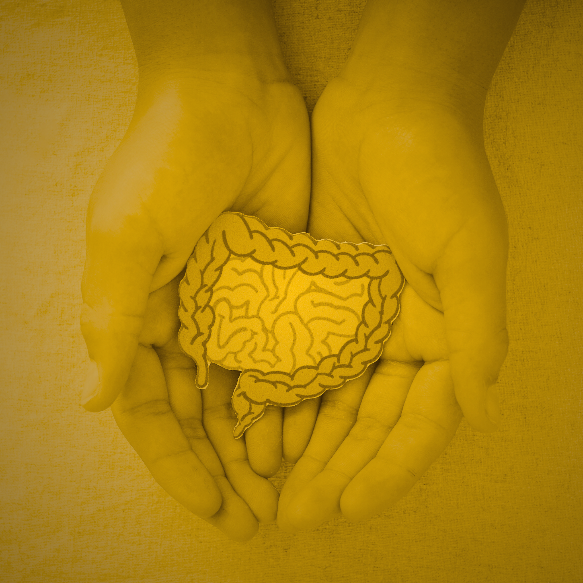 Nicotine's Impact on the Gut Microbiome and Gut Microbiota