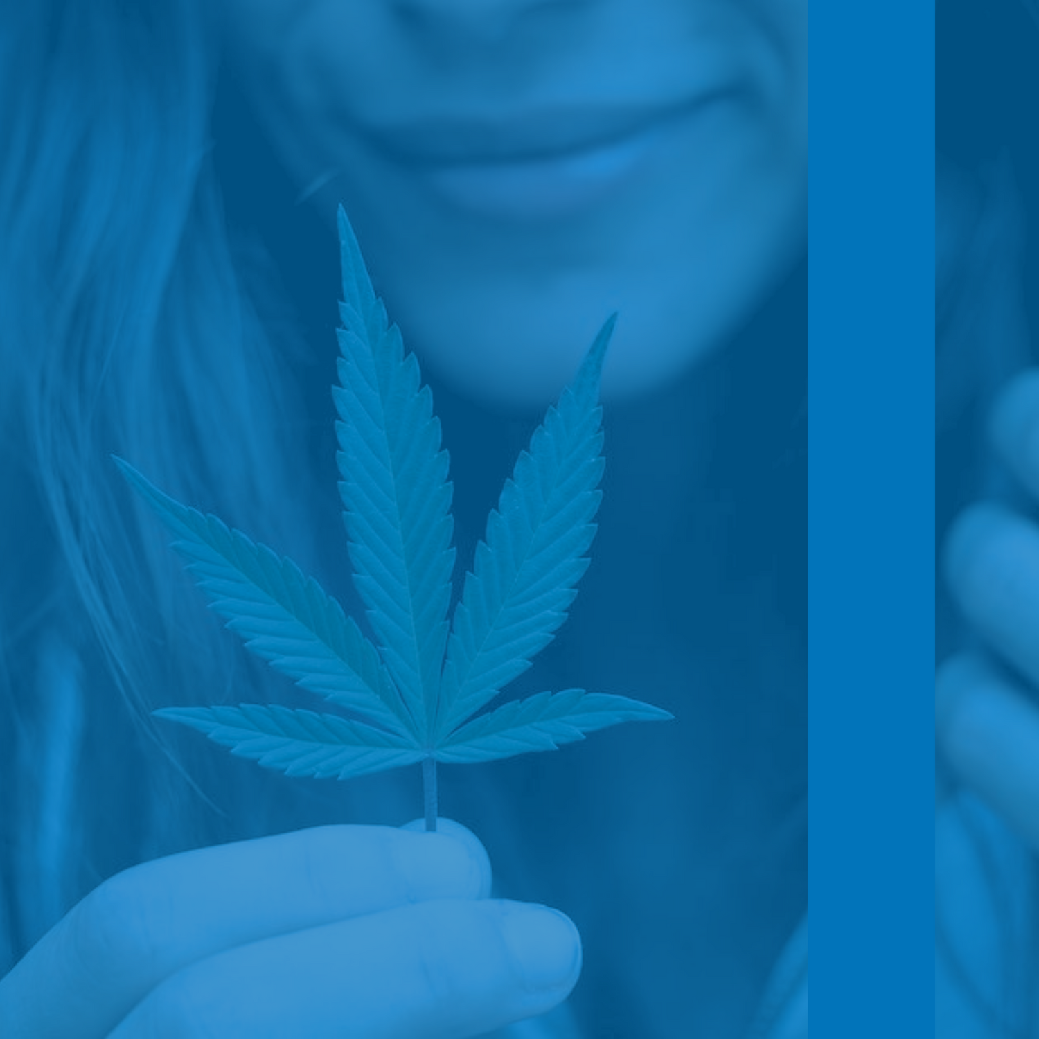 Connecting Your Endocannabinoid System and Mental Health