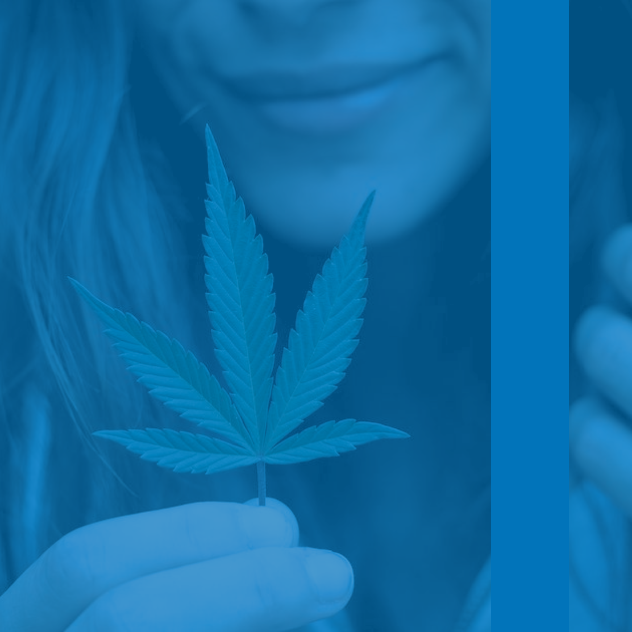 Connecting Your Endocannabinoid System and Mental Health