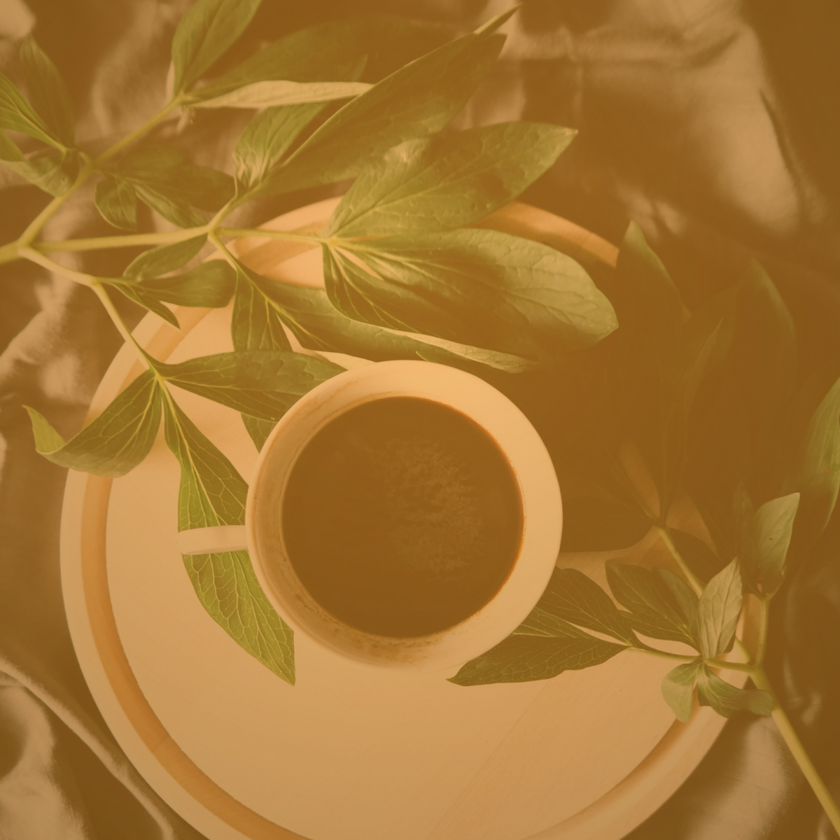 Why L-Theanine and Caffeine Work Better Together: The Neuroscience of Calm Focus
