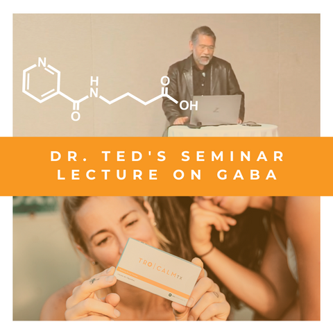 Dr. Ted's Seminal Lecture on GABA