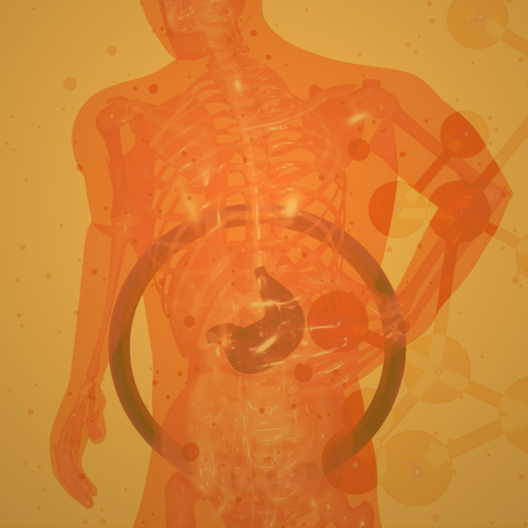 How Gut Microbes Produce Chemicals That Impact Mood and Bowel Health