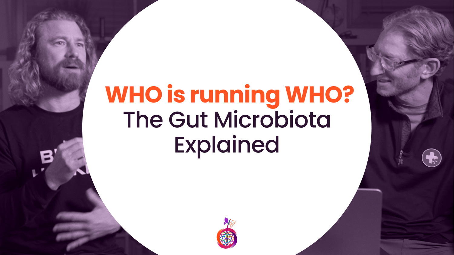 What Nobody Told You About Your Gut