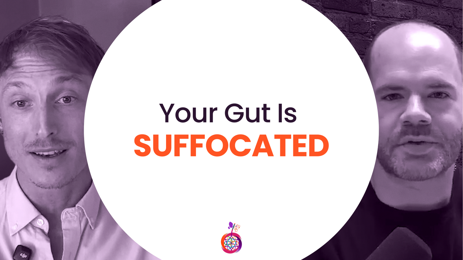 The Real Cause of Endotoxemia: Leaky Gut Explained