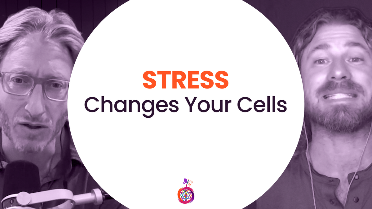 The Cellular Mechanisms of Stress