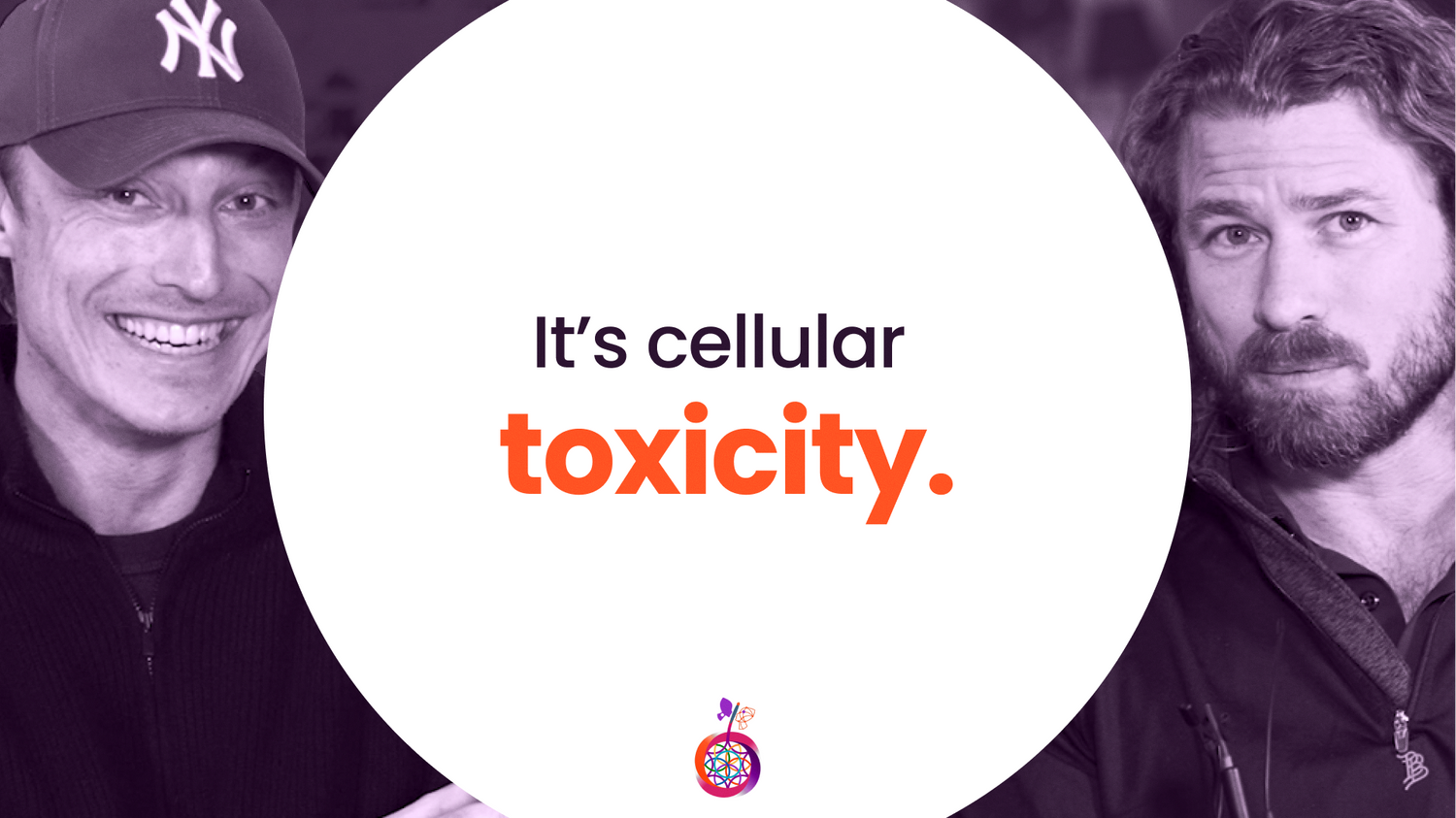 Understanding Toxicity Through Health Optimization Medicine