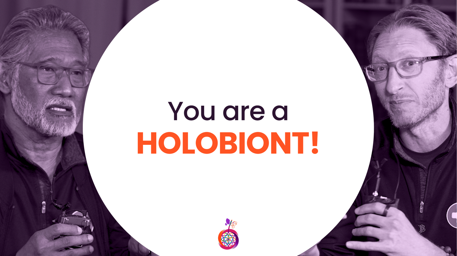 Decoding the Holobiont: The Ecosystem of Ecosystems
