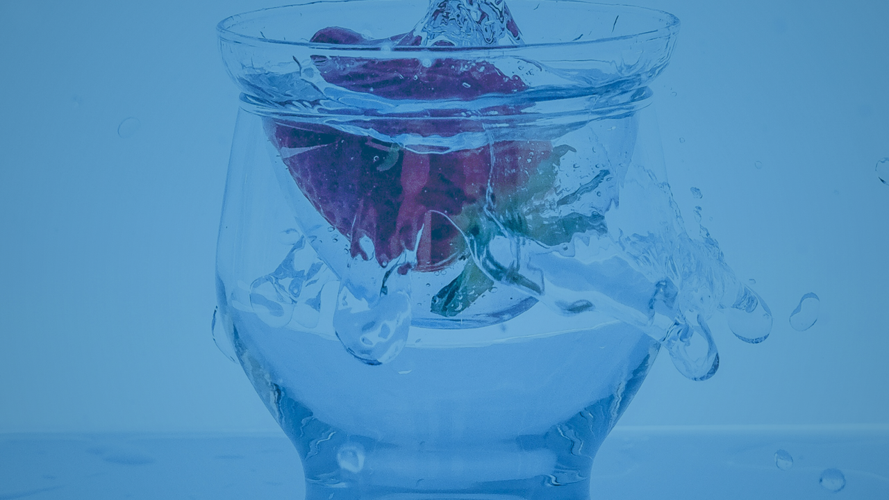 Learning & education – Troscriptions®