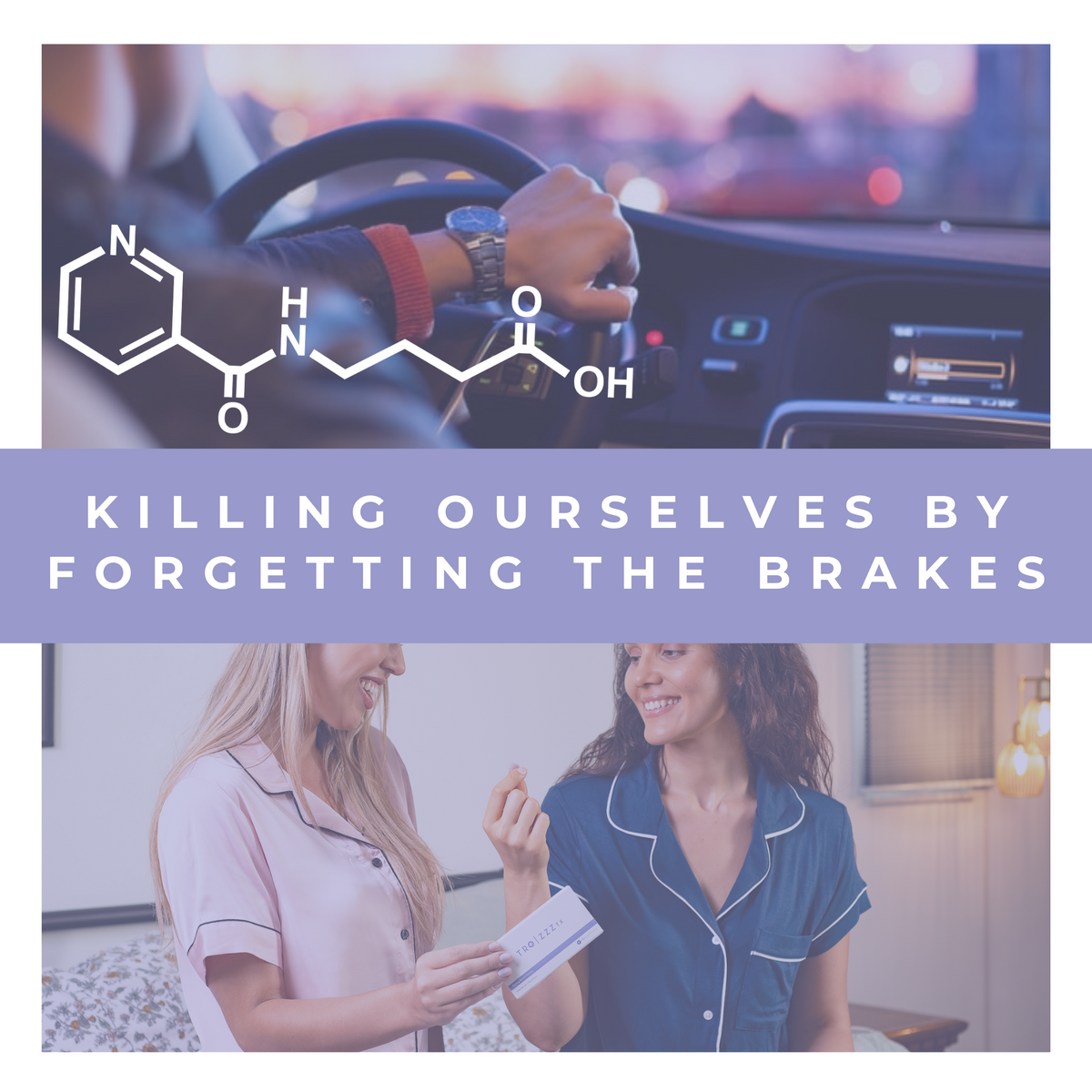 Killing Ourselves By Forgetting the Brakes: A deep dive into all things GABA