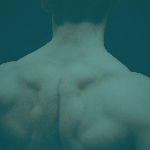 Does Nicotine Increase Testosterone Levels? Separating the Smoke from the Science