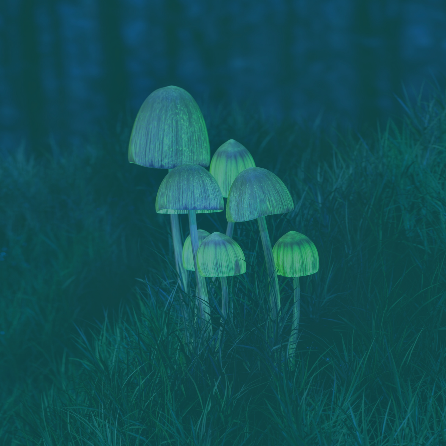 How do psychedelics interact with the GABA system?