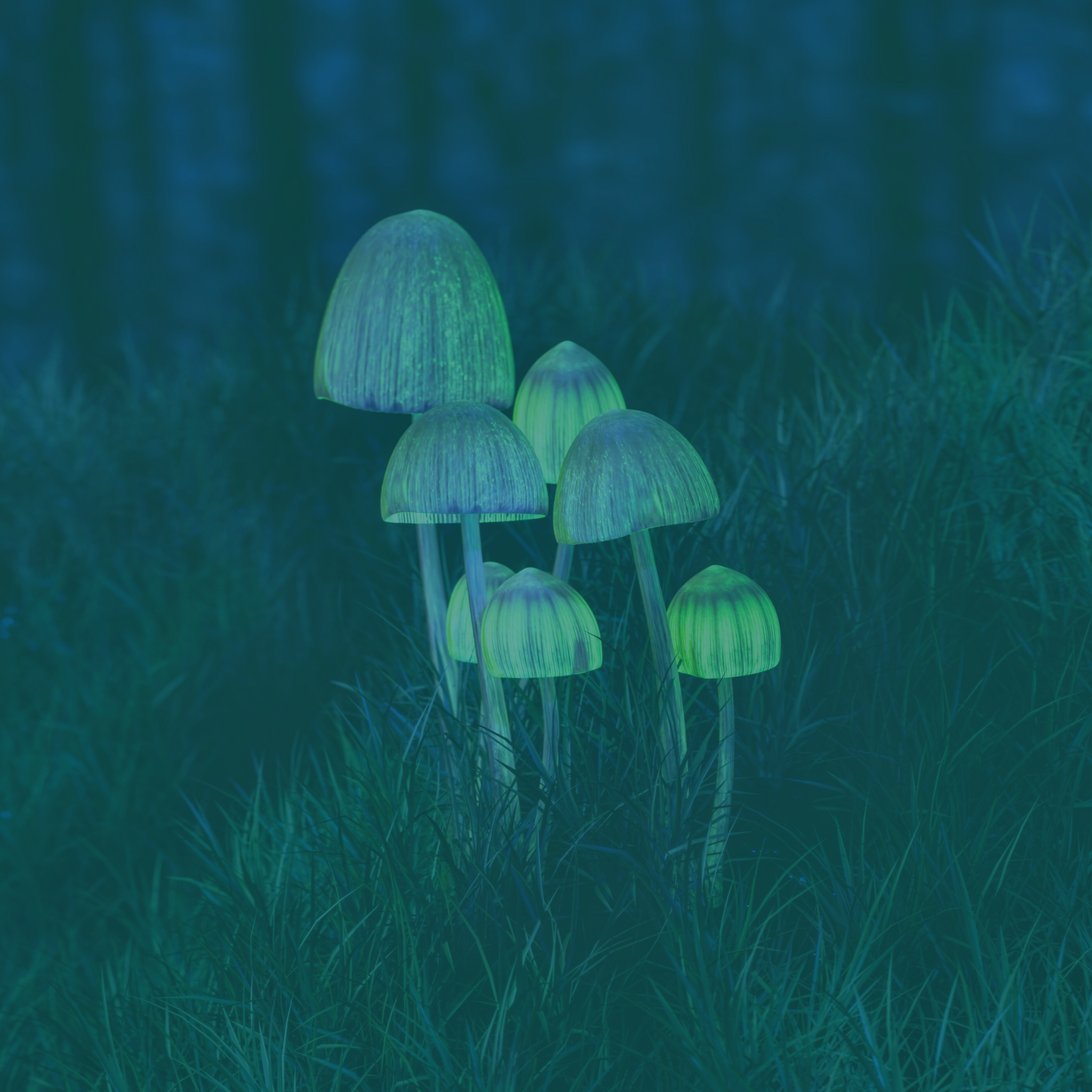 How do psychedelics interact with the GABA system?