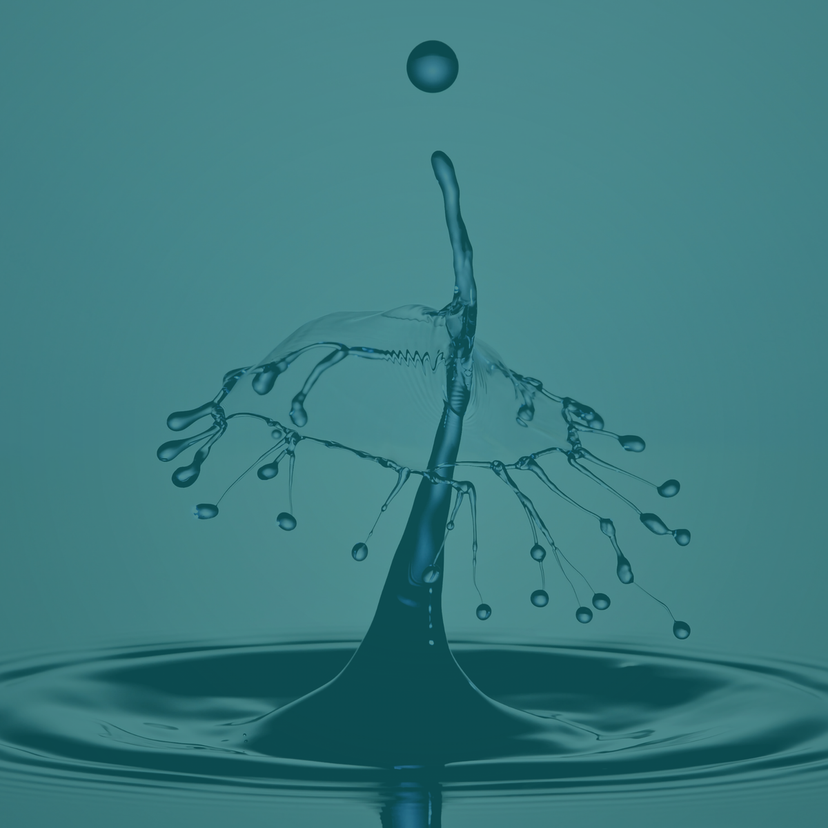 How Sodium Bicarbonate Influences Fluid Balance in the Body