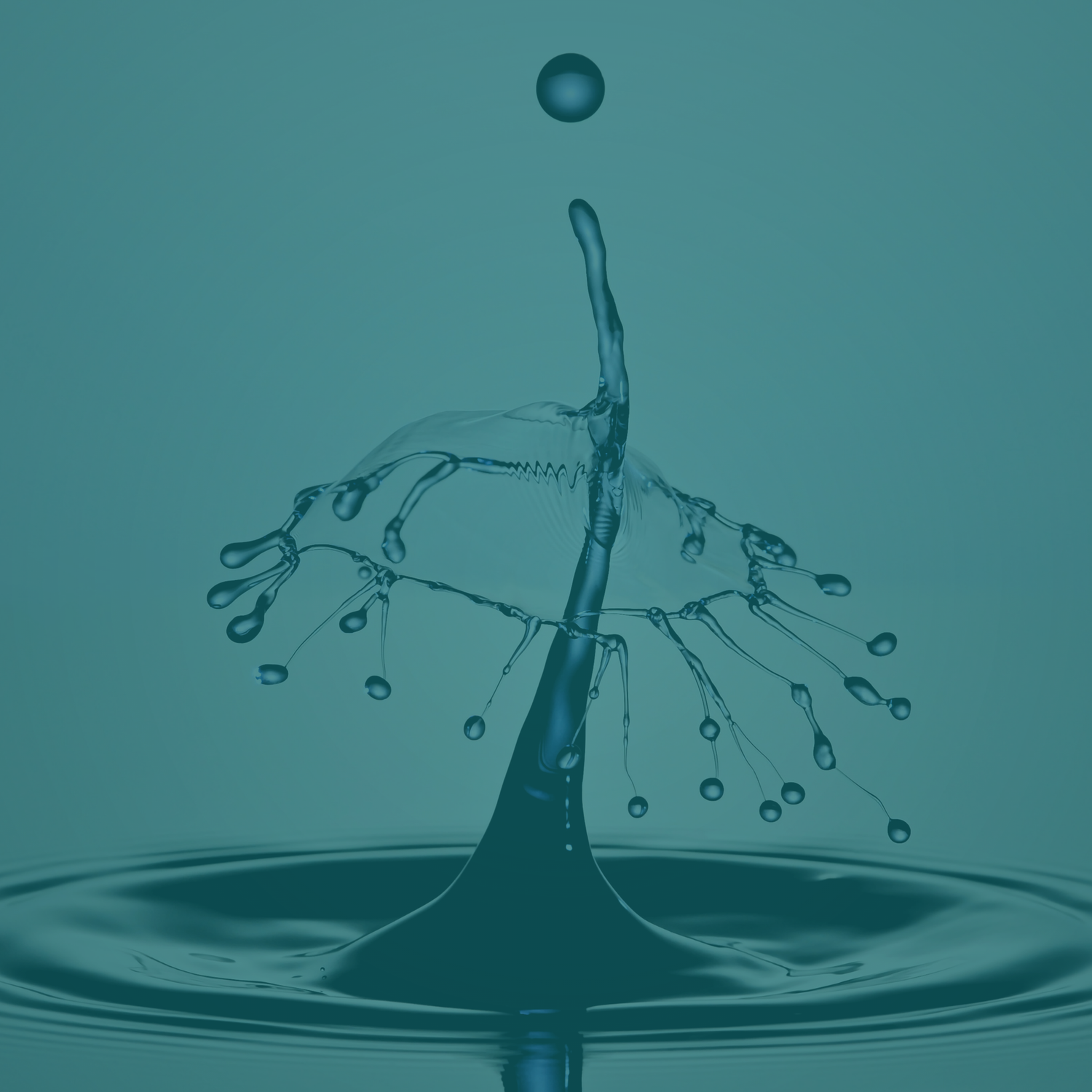 How Sodium Bicarbonate Influences Fluid Balance in the Body