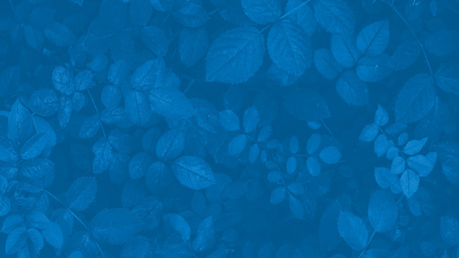 Troscriptions® - Buccal Troches for Health Optimization