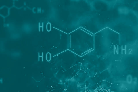 In_Depth_Guide_Dopamine