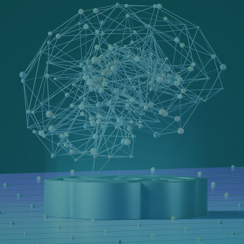 Effects of Vitamin B3 on Brain Energy and Cognitive Performance