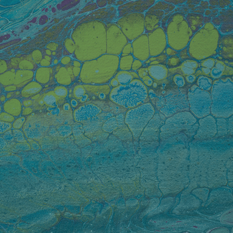 Vitamin B3 and Your Mitochondria: What Really Happens Inside Your Cells